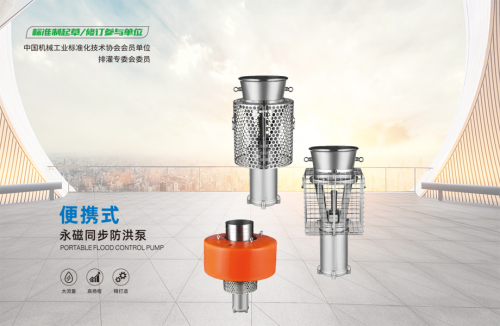 高扬程永磁潜水泵